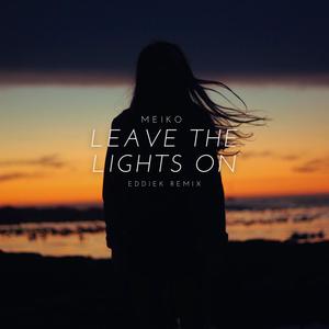 Leave The Lights On (feat. Meiko)