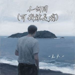 小胡同 (可我就是痛)