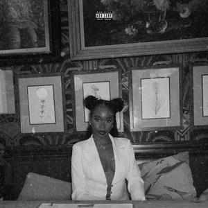 Señorita (sped up)