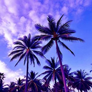 All They See Is Dollar Signs (Instrumental)