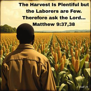 The Harvest Is Plentiful but the Laborers are Few. Therefore ask the Lord... Matthew 9:37, 38