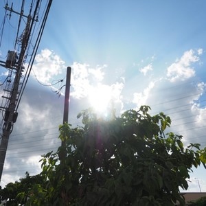 Summer Sunlit Surge (feat. Matsuo, BHS Svve & utumiyqcom)