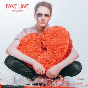 FAKE LOVE