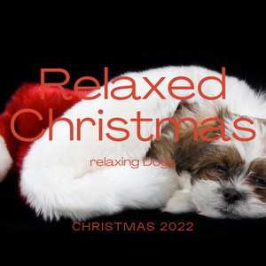 Dog Sleep Dreams - 2022 Christmas: Upon This Lovely Christmas Morning: Ambience