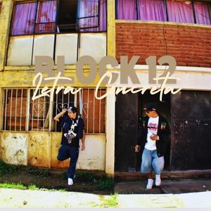 Block 12 (feat. Triebal) (Explicit)