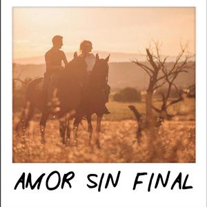 Amor Sin Final