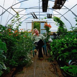 simmerdown - sweetbittersweet