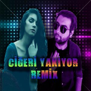 Ciğeri Yakıyor (feat. Seda Zenli) [Remix] [Explicit]