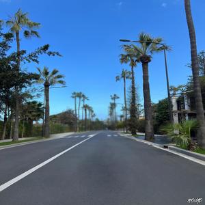 Notice (feat. Nicksso900 & Angilla) (Explicit)