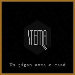 Un țigan avea o casă (feat. Sânziana)