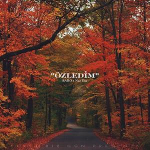 ÖZLEDİM (feat. Naz Eda)