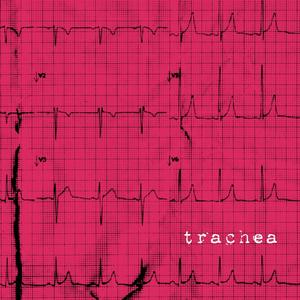 Trachea (Explicit)