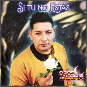 Si Tu No Estas