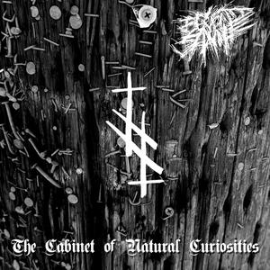 Beyond Shame - Nicotine Burns