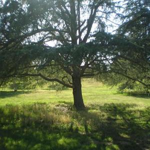 potionn - we gon b ok (feat. lluvstnx, prod. potionn, nerdworldd exclusives & Kult) (Explicit)