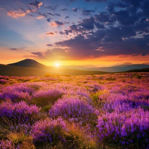 Quiet Relaxing Music - The Blush Of Day