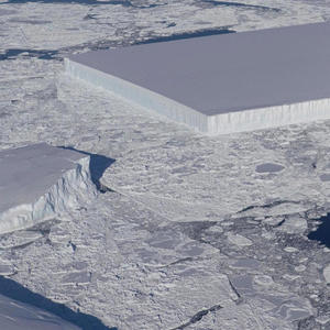 Chosen (feat. DOTCOM, Cris B. & BIG MIDAS) (Explicit)