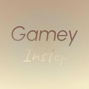 Gamey Instep