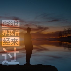 你的世界我曾来过