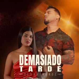 Demasiado Tarde