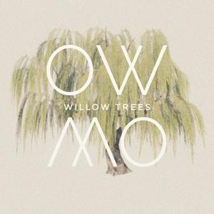 Willow Trees