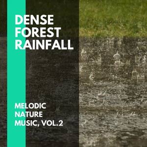 Dense Forest Rainfall - Melodic Nature Music, Vol.2