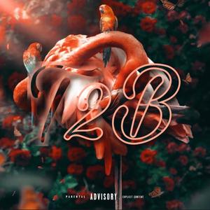 T2B (Explicit)