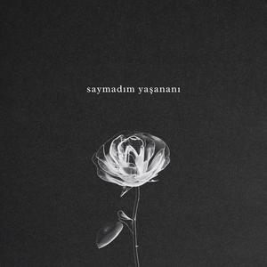 saymadım yaşananı (Explicit)