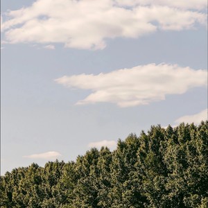 我也有心事 没跟任何人讲