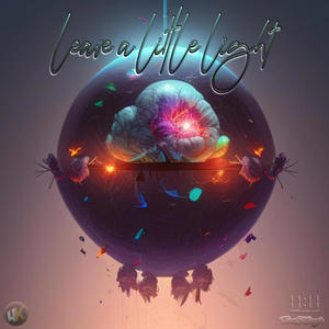 LEAVE A LITTLE LIGHT (feat. TROM DILLINGER) (Explicit)