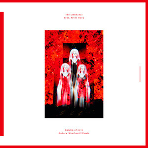 The Limiñanas - Garden of Love(feat. Peter Hook) (Lundi Mouillé Andrew Weatherall remix)