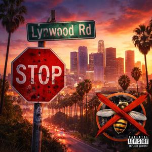 Troopin & hoopin (Explicit)