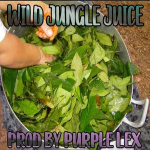 Wild Jungle Juice (Explicit)