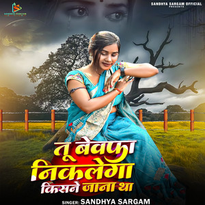 Tu Bewafa Nikalega Kisne Jana Tha