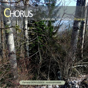 Chorus : Forêt de Valdrôme (France)