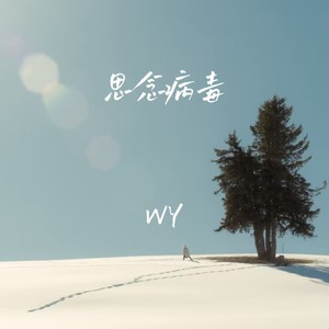 思念病毒封面