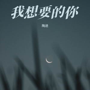 我想要的你 (Demo)