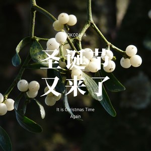 圣诞节又来了