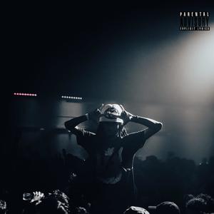 Hands Up (feat. TrapGoKrazy) (Explicit)