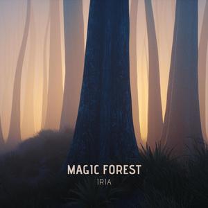 Magic Forest