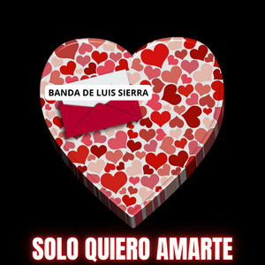 Solo Quiero Amarte