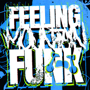 FEELING MOUNTAIN FUNK