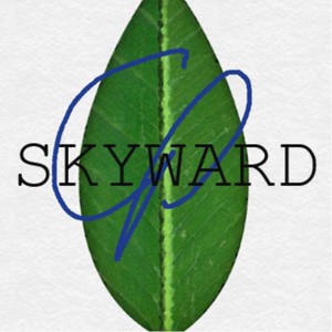 Skyward