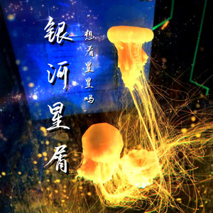 如果声音不记得