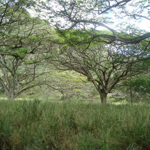 Victor Beats - Guardians