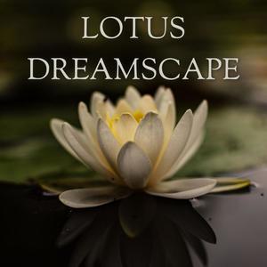 Lotus Dreamscape