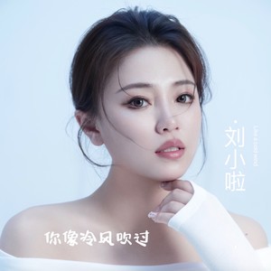 你像冷风吹过 (伴奏)