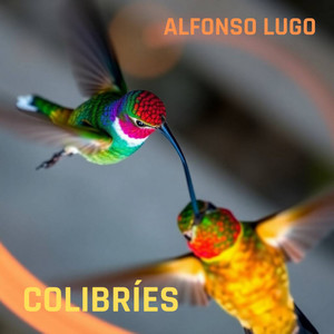 Colibríes