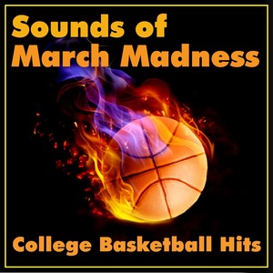 Pittsburgh Panthers(Panther Fans Stand Up Theme)