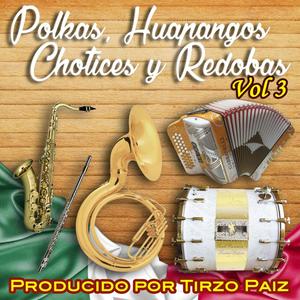 Polkas, Huapangos, Chotices y Redobas, Vol. 3